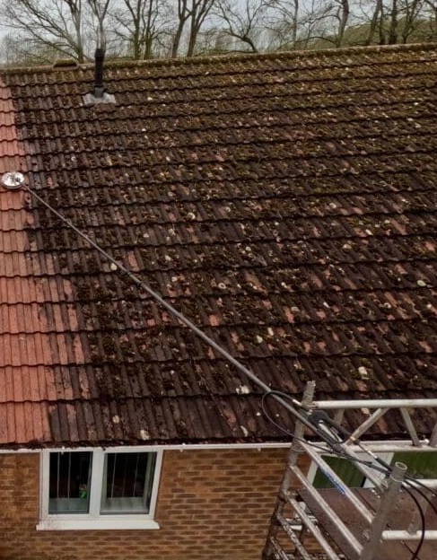 Před – střecha s mechem